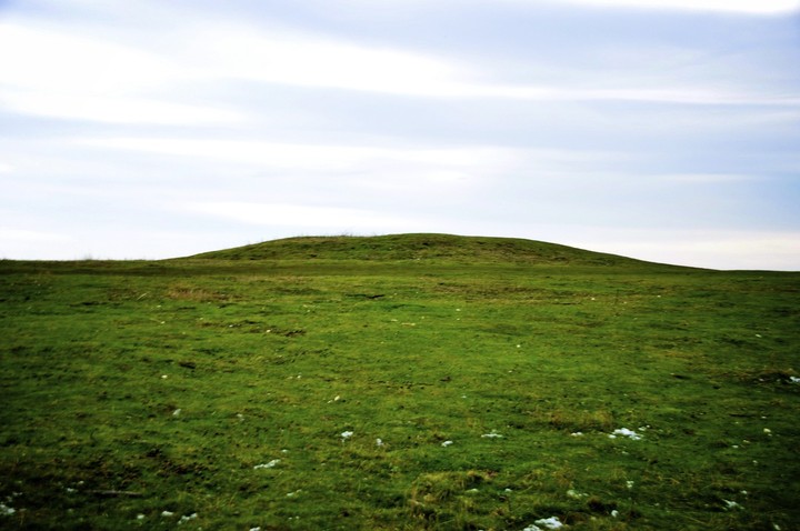 Round Barrow (within Beacon Hill Hillfort) (Round Barrow(s)) by ginger tt