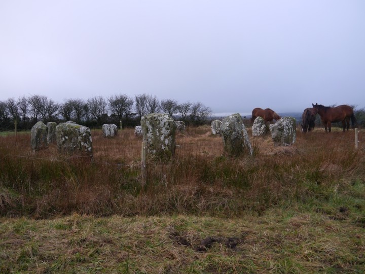 Reanascreena (Stone Circle) by Meic