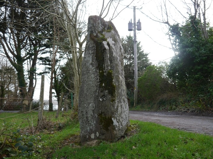 Skull Stone (Standing Stone / Menhir) by Meic