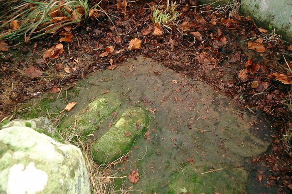 Creich Manse (Stone Circle) by nickbrand