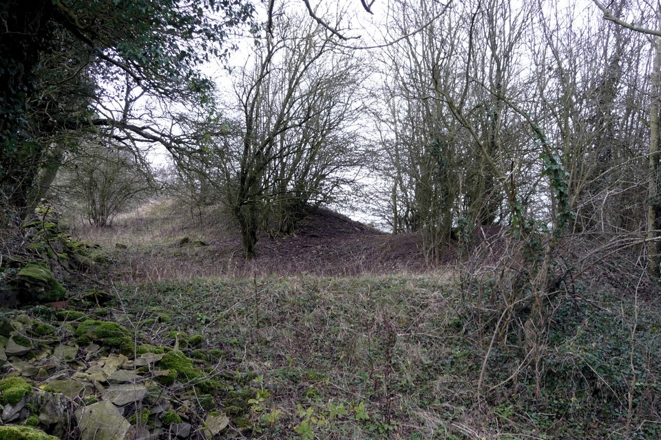 Nottingham Hill (Hillfort) by thesweetcheat