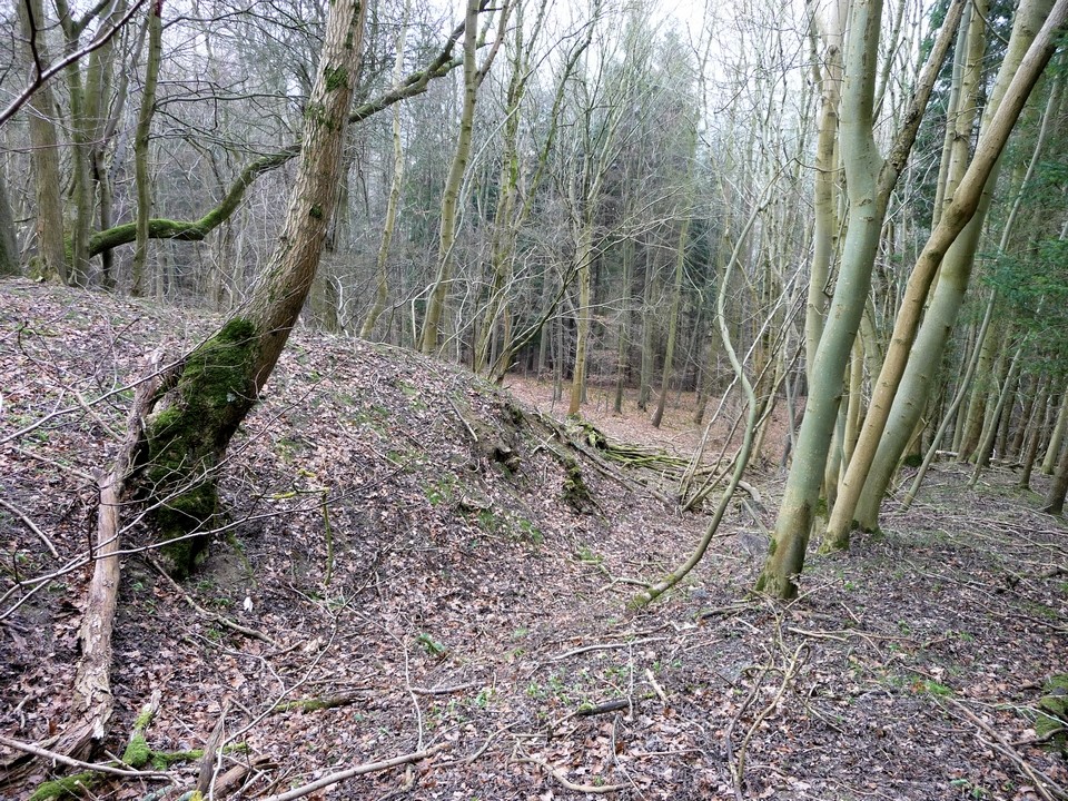 Hailes Wood Camp (Hillfort) by thesweetcheat
