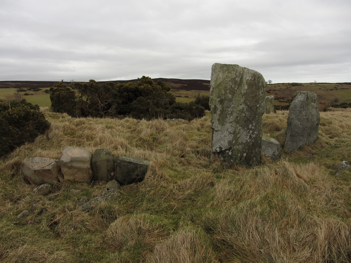 Raedykes (Ring Cairn) by thelonious