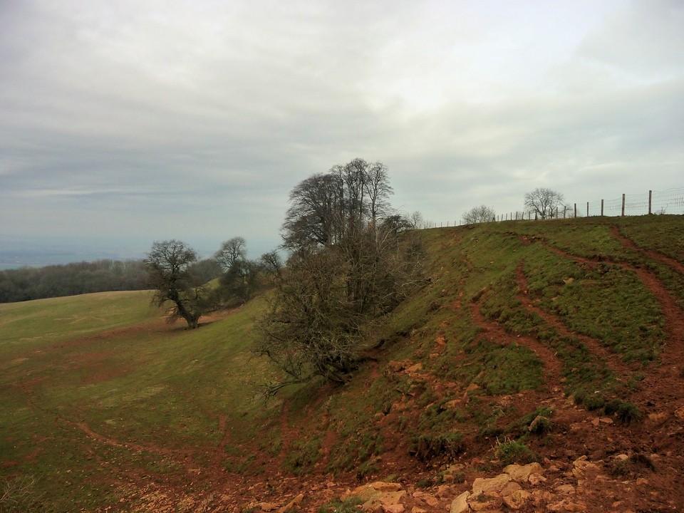 Beckbury (Hillfort) by thesweetcheat