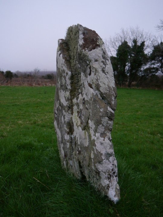 Killenough (Standing Stone / Menhir) by Meic