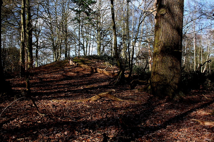 Easneye Wood (Round Barrow(s)) by GLADMAN