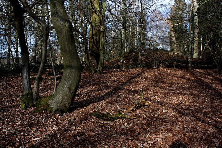 Easneye Wood (Round Barrow(s)) by GLADMAN