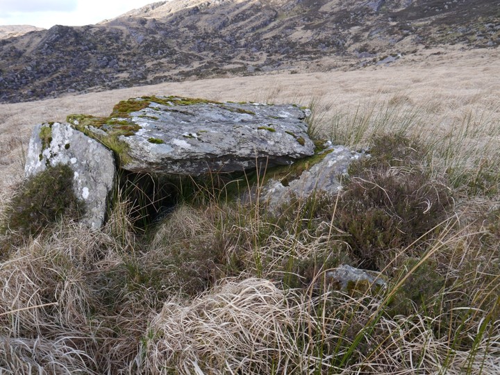 Barraboy Mountain N (Wedge Tomb) by Meic