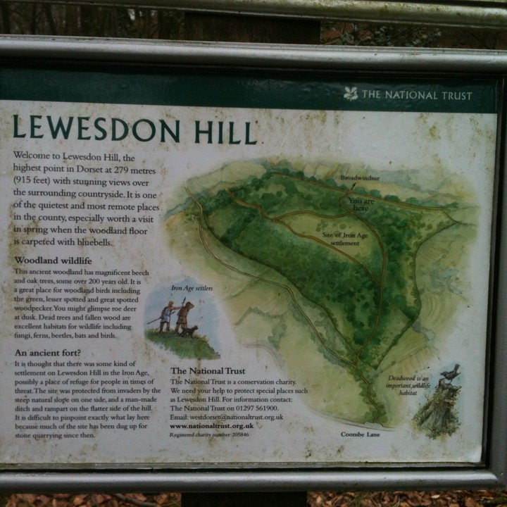 Lewesdon Hill (Hillfort) by texlahoma