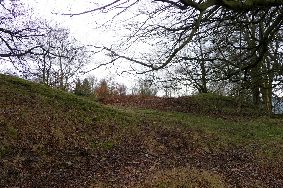 Castle Ring (Old Radnor) (Hillfort) by thesweetcheat