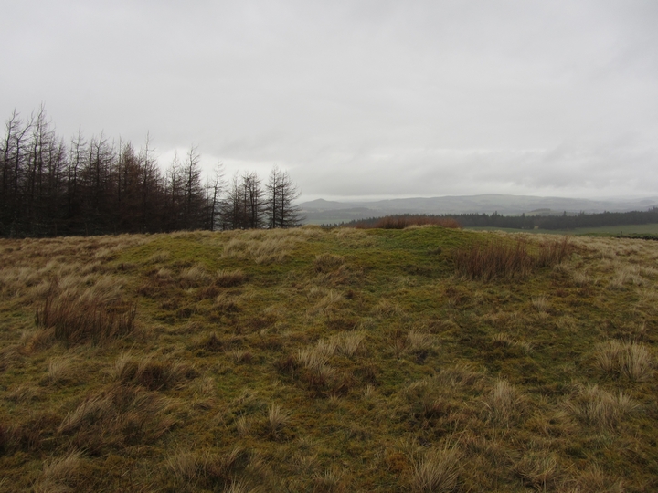 Lamington Hill (Cairn(s)) by thelonious