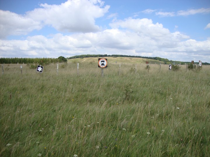 Dunch Hill Barrow (Round Barrow(s)) by Chance
