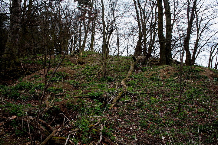 Goffer's Knoll (Round Barrow(s)) by GLADMAN