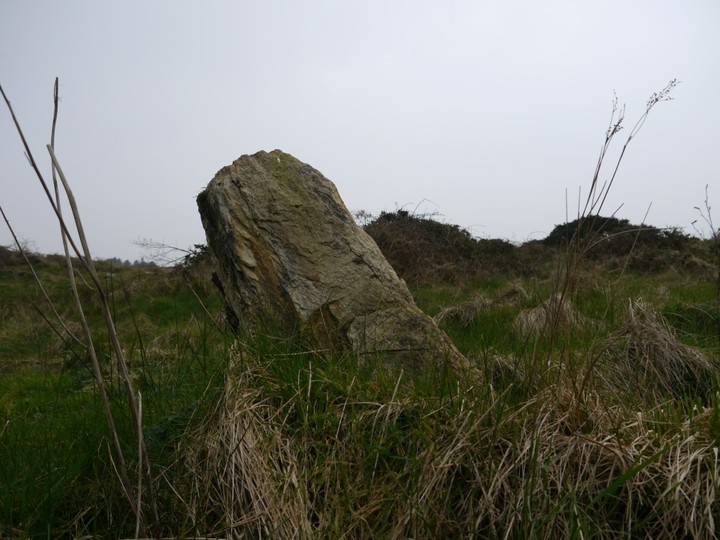 Scartbaun (Standing Stone / Menhir) by Meic