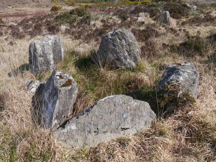 Illane (Stone Circle) by Meic