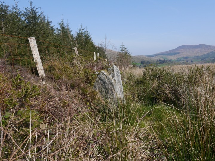 Cappaboy Beg (Standing Stone / Menhir) by Meic