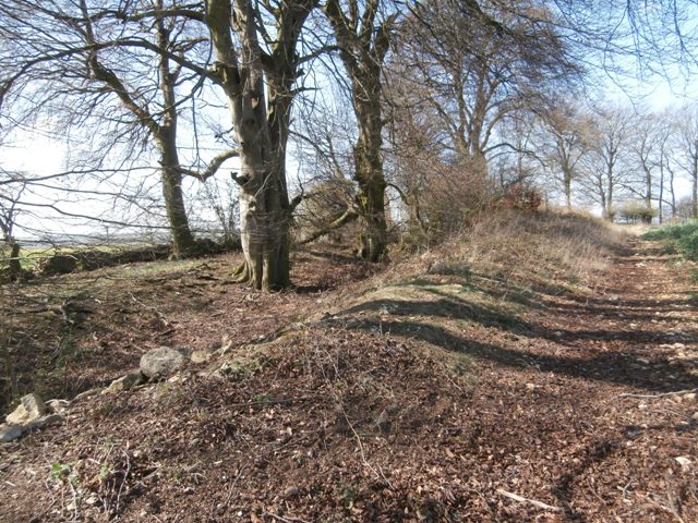 Norbury Camp (Upper Coberley) (Hillfort) by Emma A