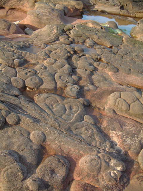 Cocklawburn Beach Rings (Natural Rock Feature) by moey