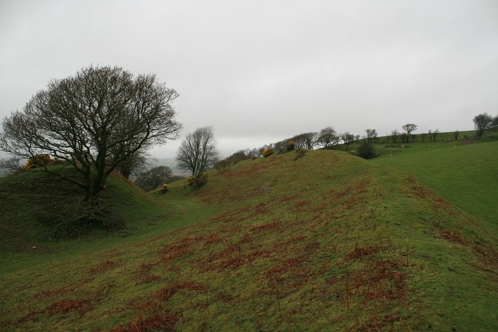 Castell Tregaron. Sunnyhill wood camp (Hillfort) by postman