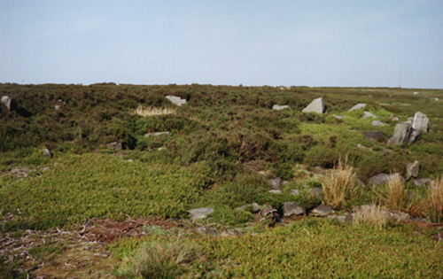 Grubstones (Stone Circle) by shortithehorn