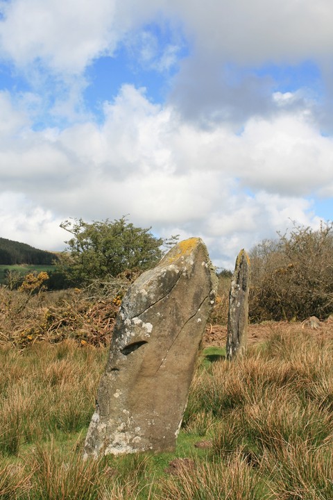 Waun Lwyd Stones (Standing Stones) by postman