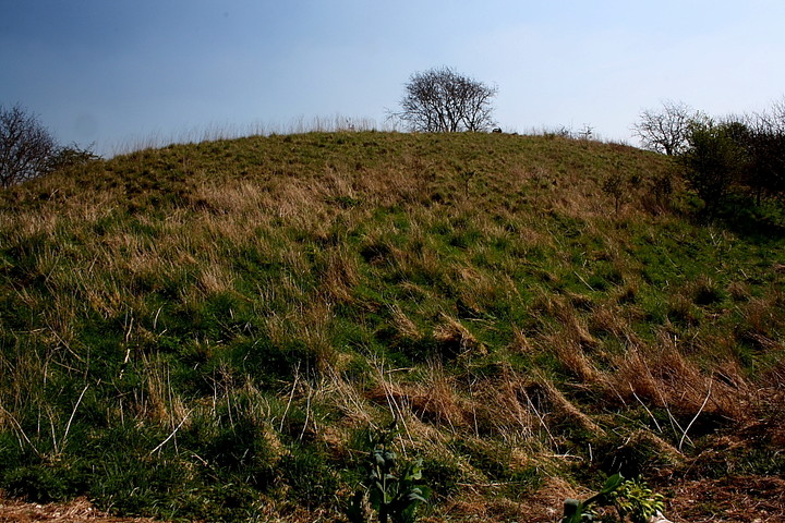 Gussage Hill (Long Barrow) by GLADMAN