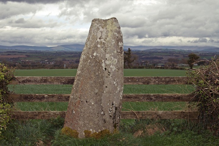 Mullamast Long Stone (Standing Stone / Menhir) by muller
