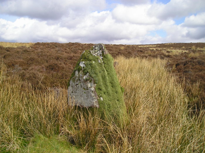 Allt Cul Corriehiam (Stone Circle) by tiompan