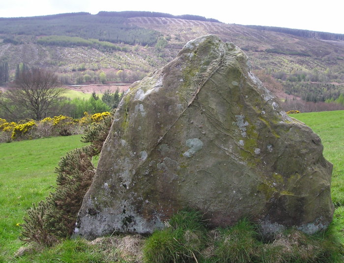 North Blairmore (Standing Stone / Menhir) by tiompan