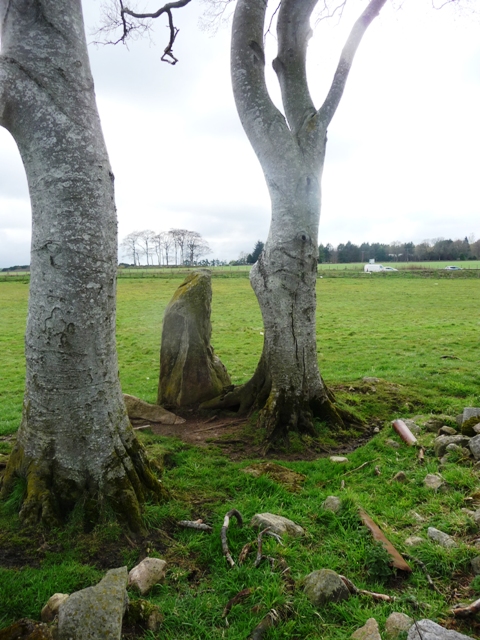 Cairnhall (Stone Circle) by drewbhoy