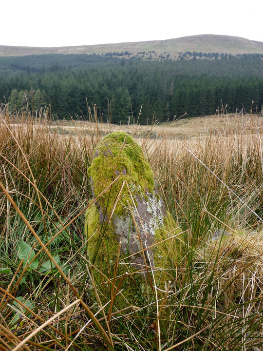 Lower Neuadd (Standing Stone / Menhir) by thesweetcheat