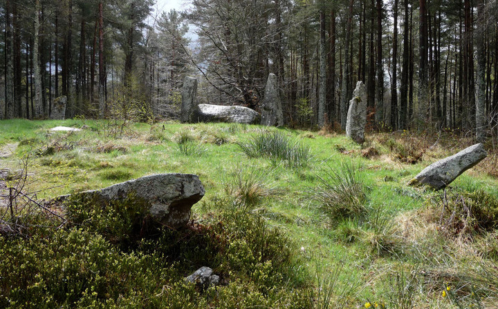 Cothiemuir Wood (Stone Circle) by thesweetcheat