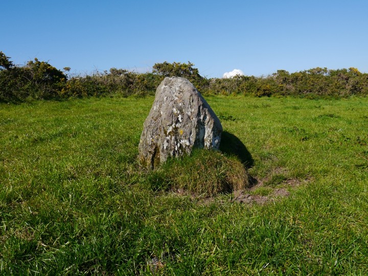 Lissagriffin (Standing Stone / Menhir) by Meic