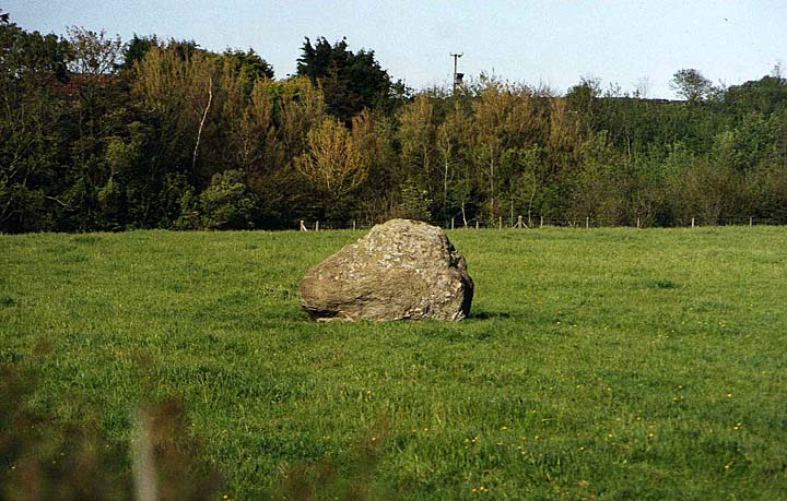 Trefwri Standing Stone (West) (Standing Stone / Menhir) by stubob