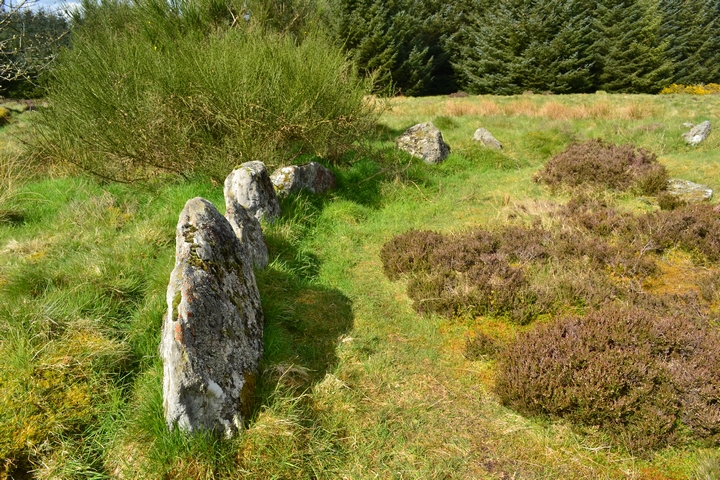 White Cow Wood (Chambered Cairn) by thelonious