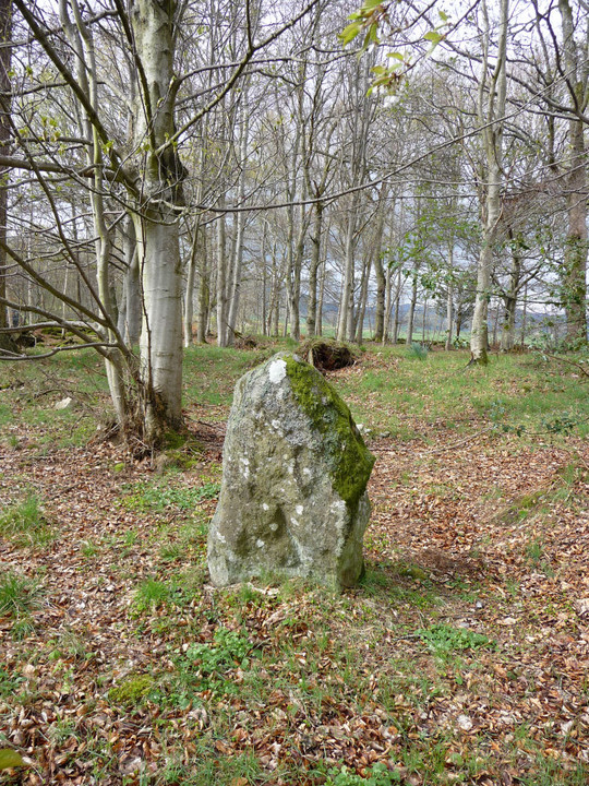 Tombeg (Standing Stone / Menhir) by thesweetcheat