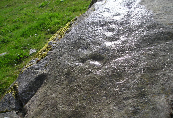 Tullichuil (Cup and Ring Marks / Rock Art) by tiompan