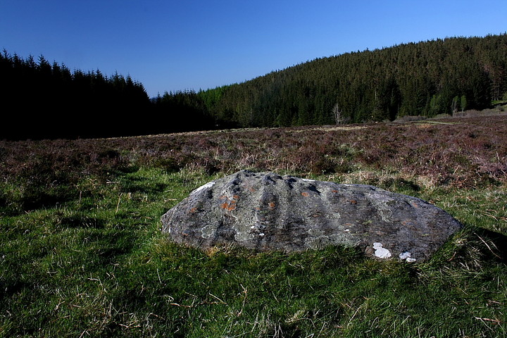Braes of Foss (Cup Marked Stone) by GLADMAN