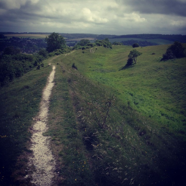 Hod Hill (Hillfort) by texlahoma