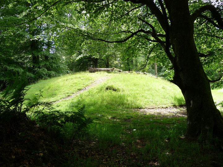 Wentwood Barrows (Round Barrow(s)) by thesweetcheat