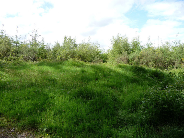 Foresters Oaks Round Barrow (Round Barrow(s)) by thesweetcheat