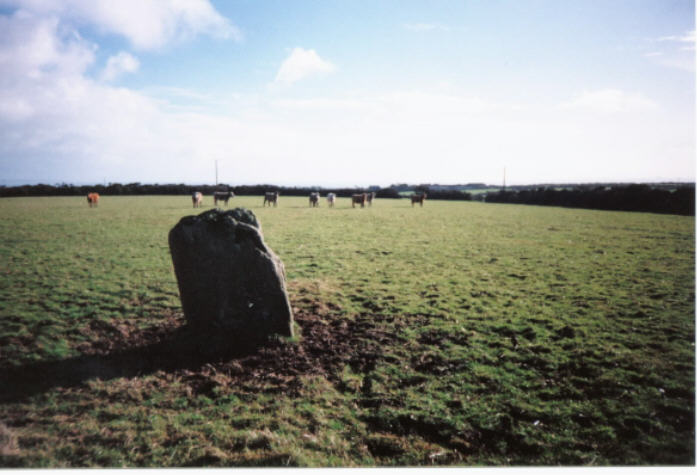 Castallack (Cup Marked Stone) by hamish