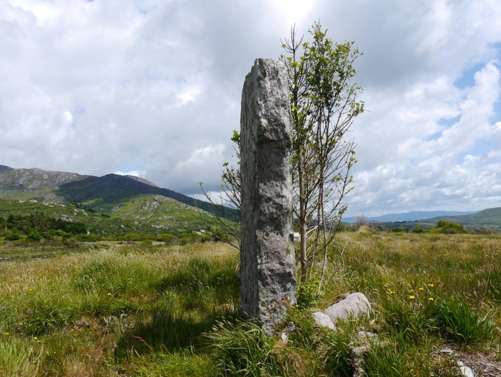 Leitrim Beg (Standing Stone / Menhir) by Meic