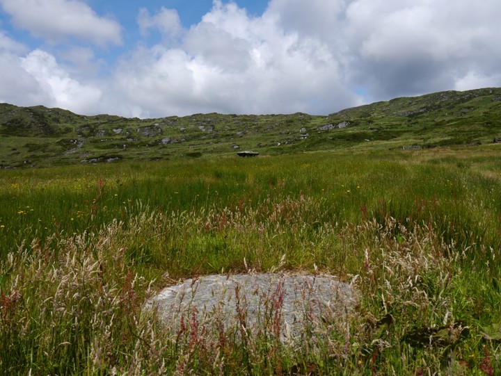 Ballynahowen (Wedge Tomb) by Meic