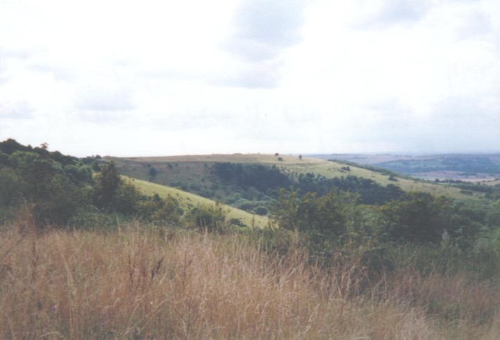 Old Winchester Hill (Hillfort) by Cursuswalker