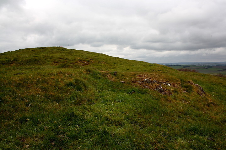 Bizzyberry Hill (Hillfort) by GLADMAN