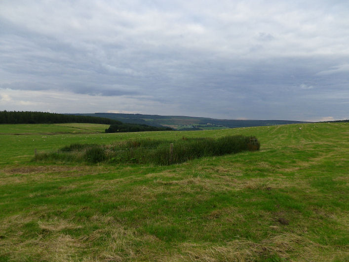 Calton Pastures (Round Barrow(s)) by stubob