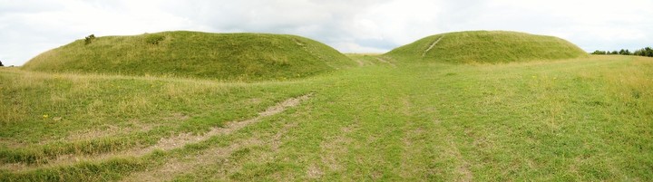 Figsbury Ring (Ancient Village / Settlement / Misc. Earthwork) by wickerman