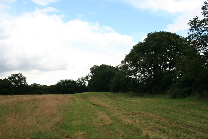 Meadows Farm (Round Barrow(s)) by postman