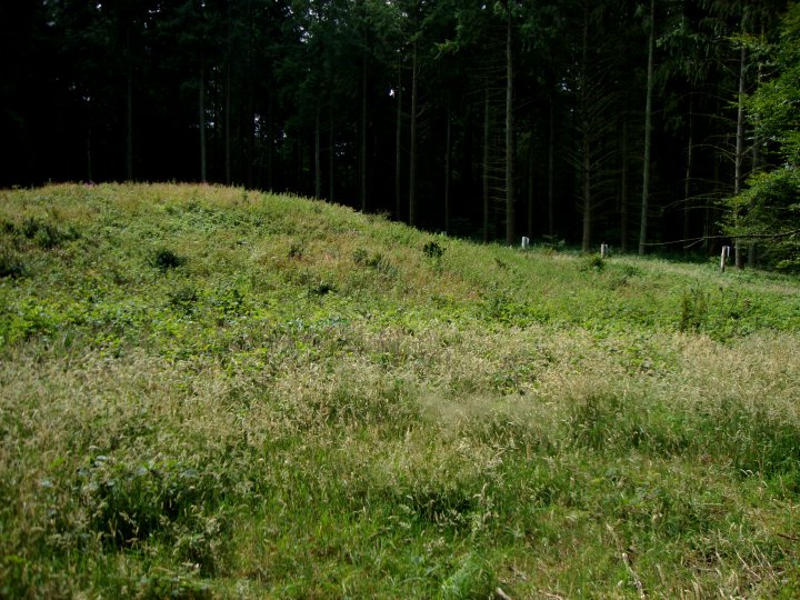 Oldhat Barrow (Round Barrow(s)) by Chance